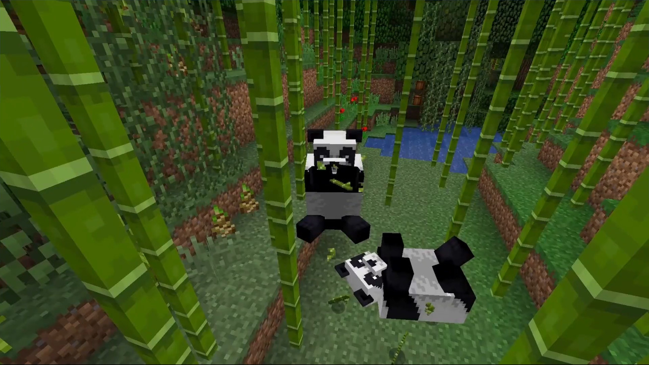 Panda v bambusovém lese